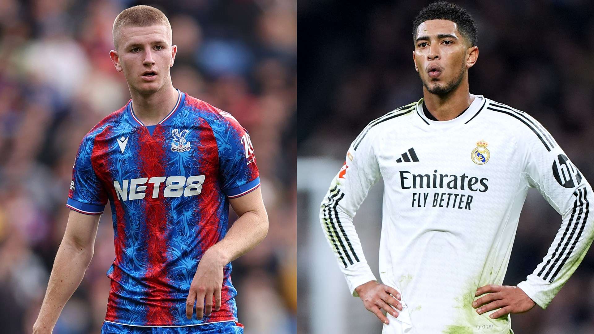 争顶中如鱼 争顶中如鱼