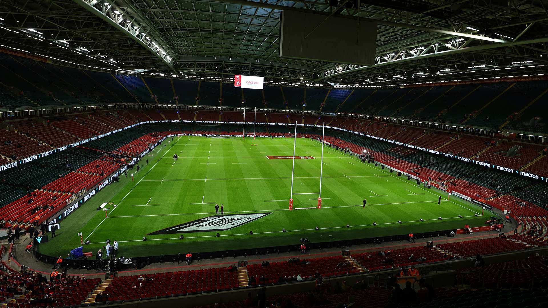 期待在未来 期待在未来